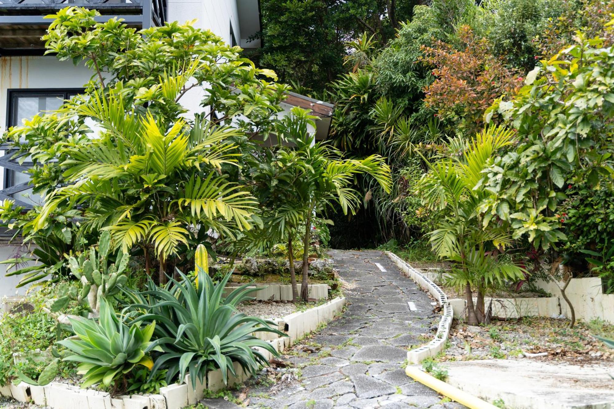 Mambo Hostel Okinawa Motobu Ngoại thất bức ảnh